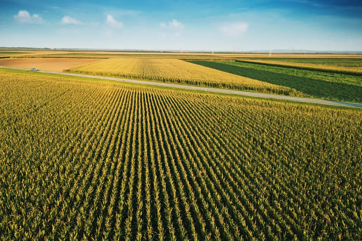 agricultura, practicas agrícolas regenerativas, emisión de gases, efecto invernadero, red latina